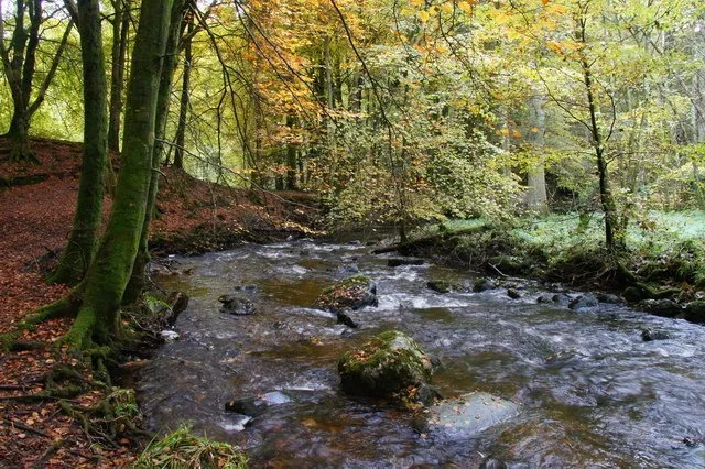 Alyth Burn in Perth and Kinross, Scotland