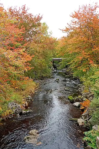 Autumn Showers, Nova Scotia
