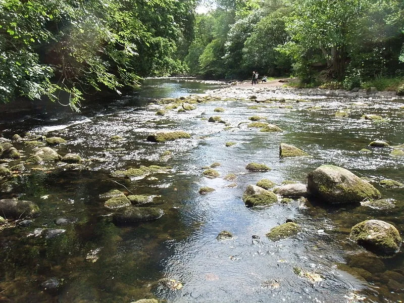 The Banks Of Allen