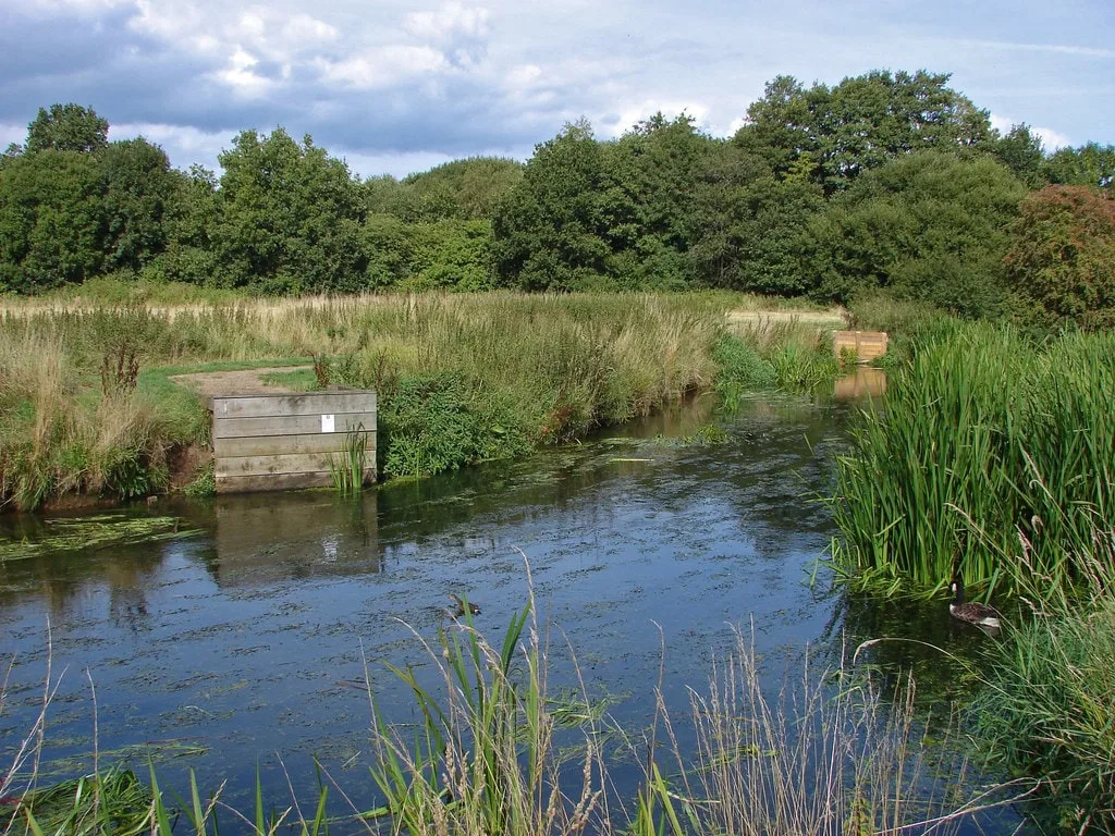 Blackwater River