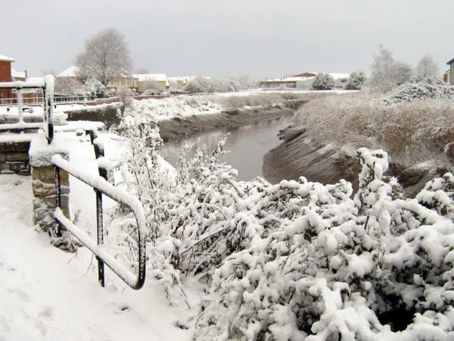 Bridgwater
