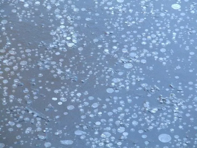 Bubbles In The Pond