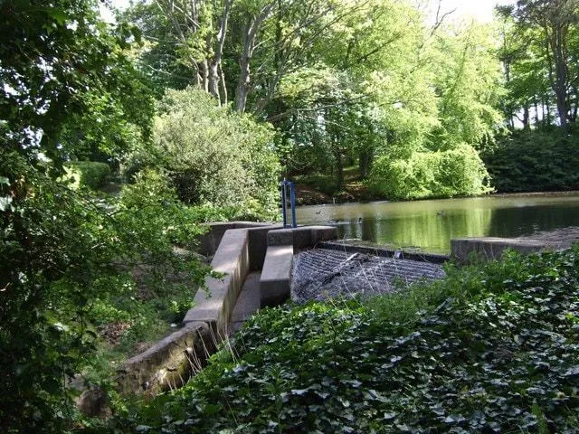 Bucksburn