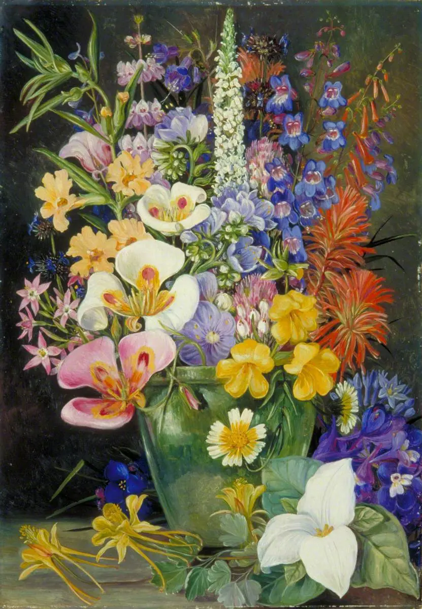 Group of Californian Wild Flowers, Marianne North Gallery