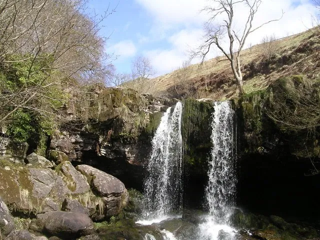 Campsie Glen