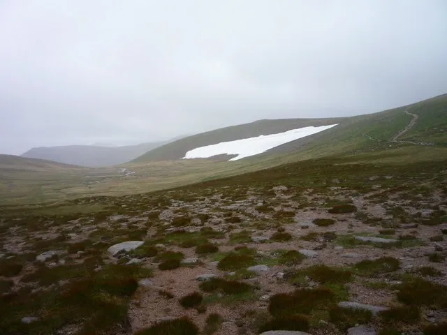 Corrie Domhainn