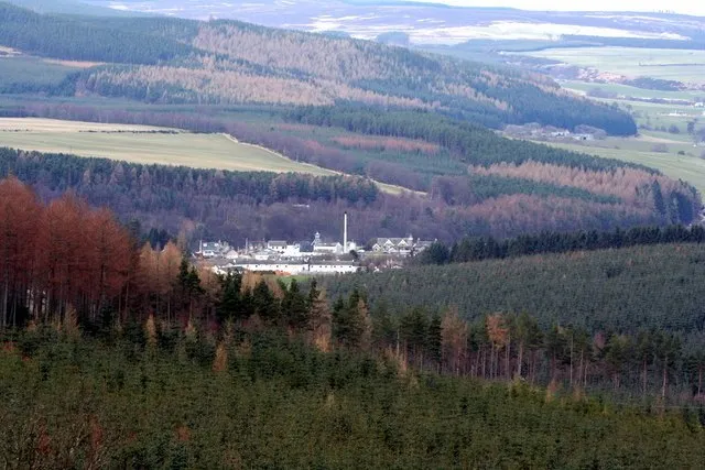 Craigellachie Lasses