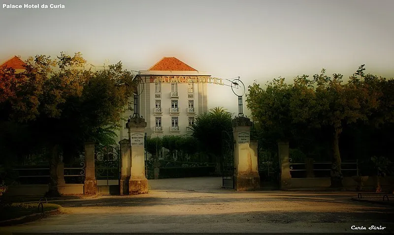 Curia