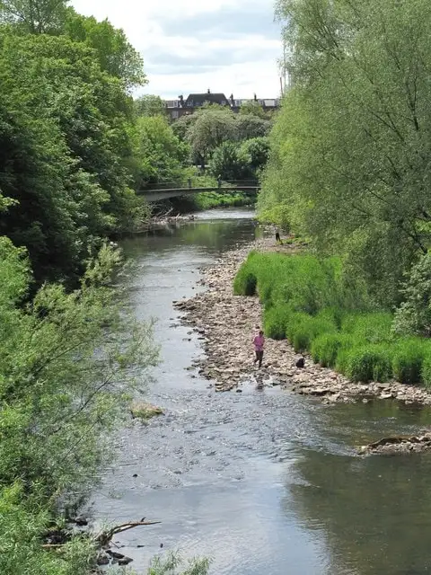 Dear Green Place, River Kelvin, Glasgow