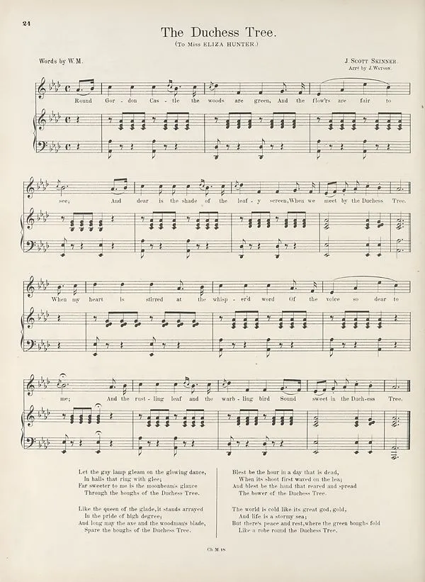 The Duchess Tree Song