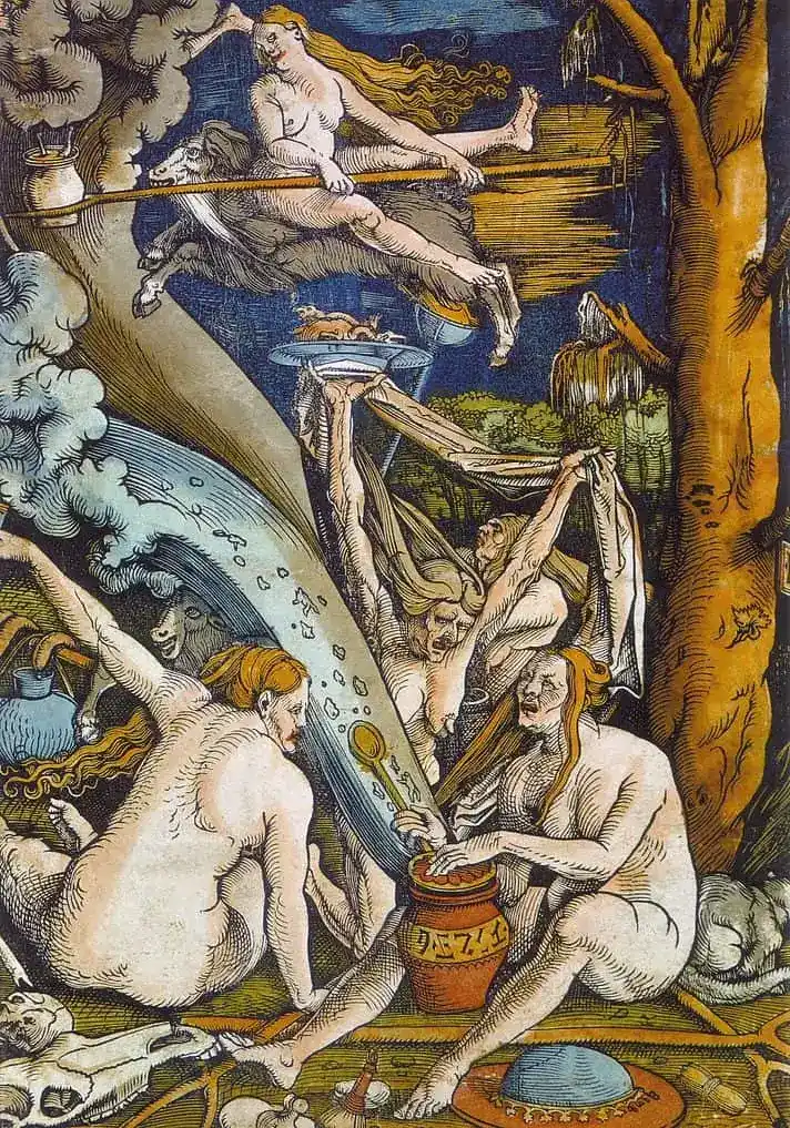 The Witches' Sabbath, by Hans Baldung