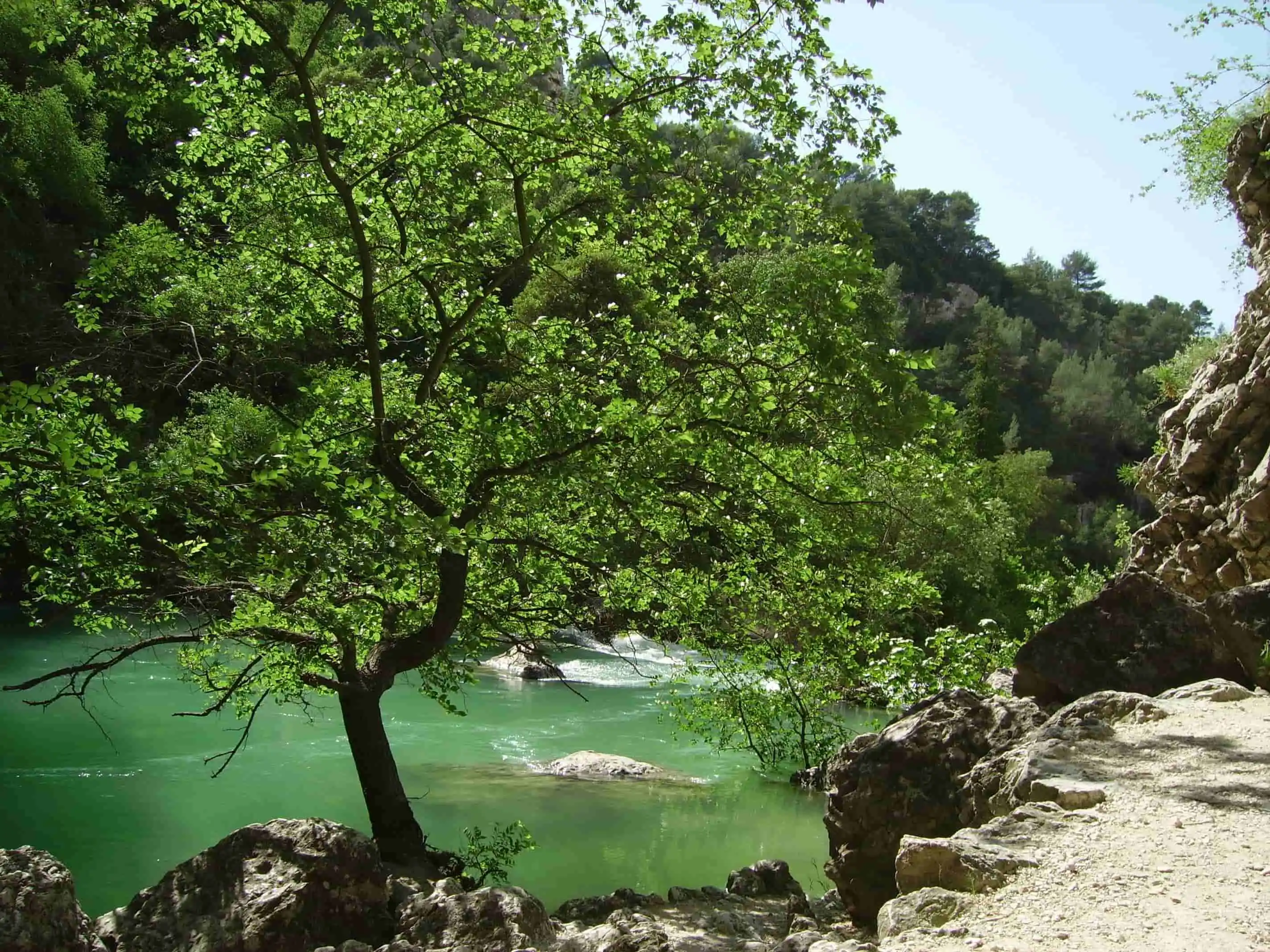 Fontaine-De-Vaucluse