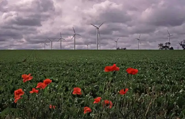 Gentle Breeze - Windfarm at Somerton with Poppies in foreground taken from the B 1159