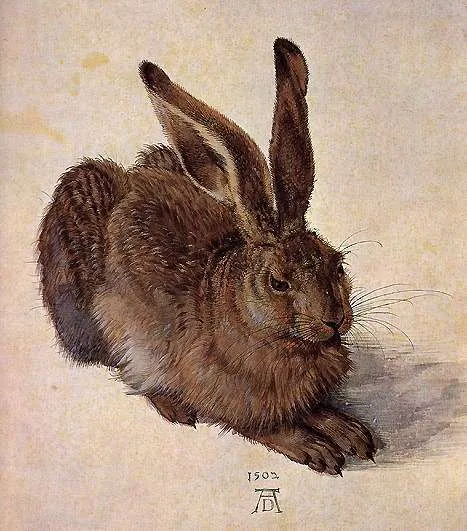 Young Hare Albrecht Dürer, Watercolor Painting
