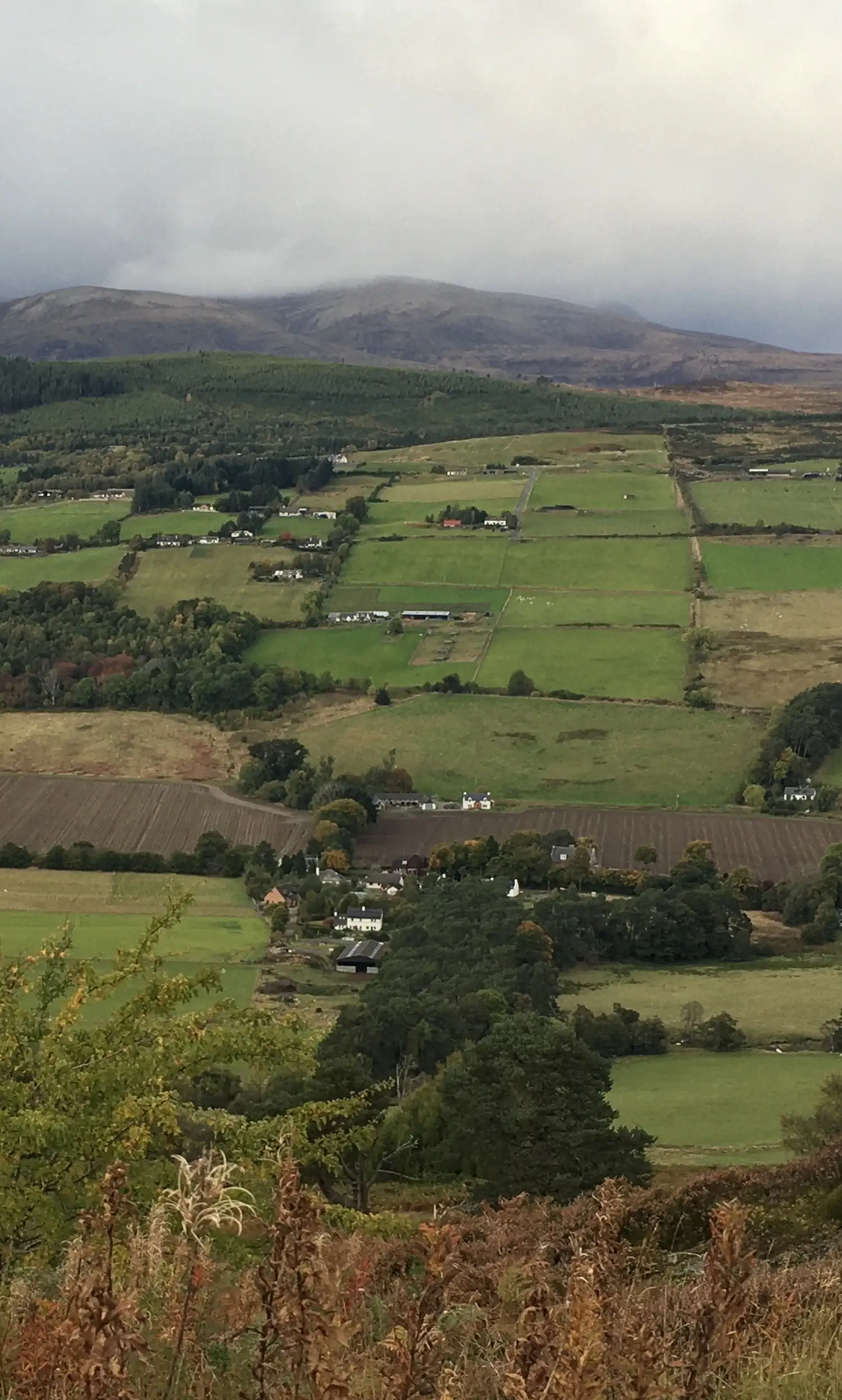 looking across to the Heights of Inchvannie from Knockfarrel.