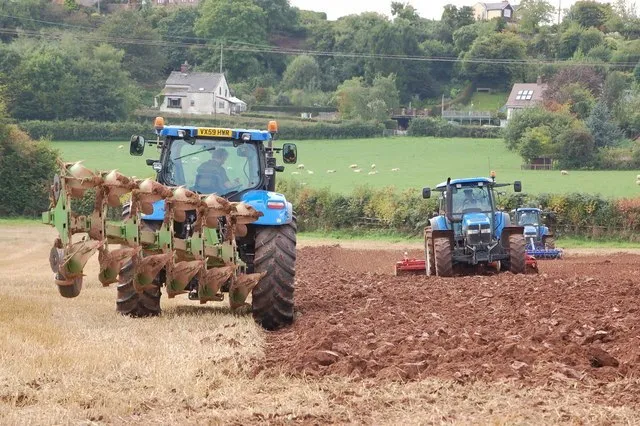 Linton Ploughman Image