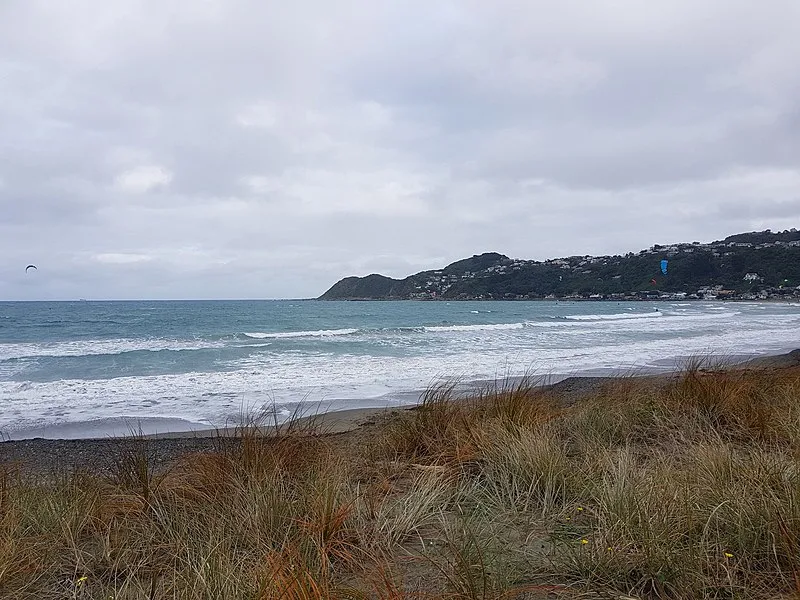 Lyall Bay