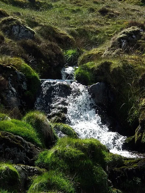 Mountain Stream