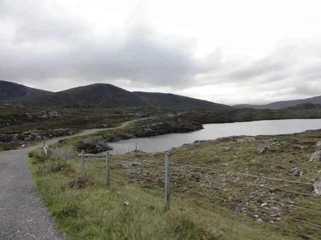 Peat Road
