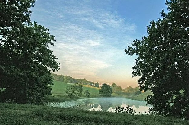 Pond Place