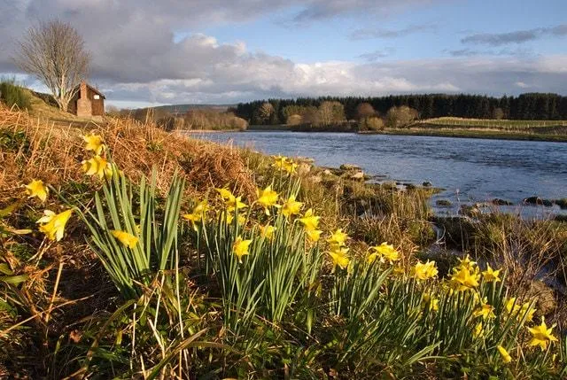 The River Dee