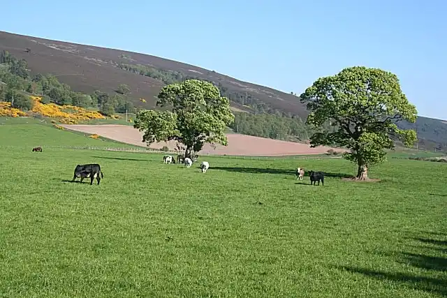 Rothes Glen