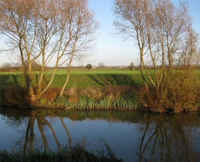 Sauchie Haugh - Willow Bank