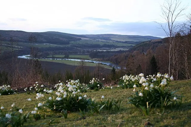 Speyside