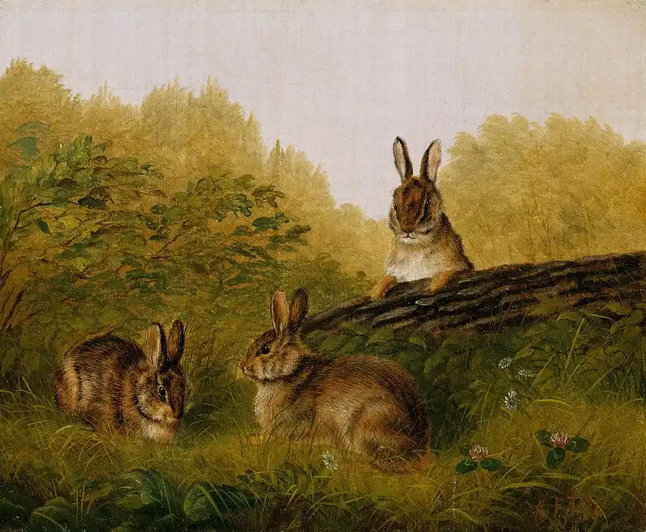 Rabbits On A Log Arthur Fitzwilliam Tait