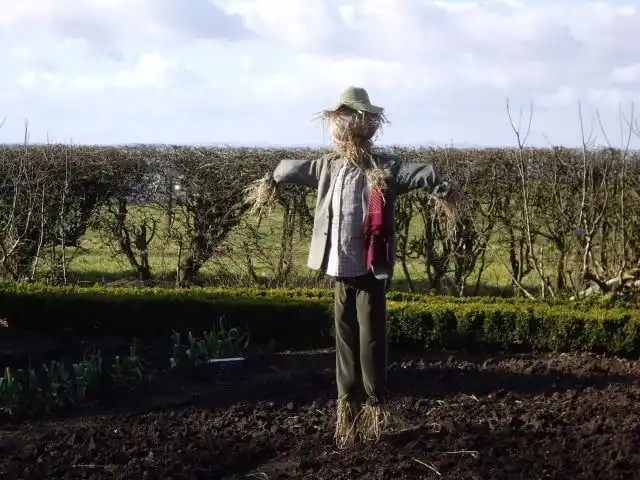 A Tattie Bogle Scarecrow Image