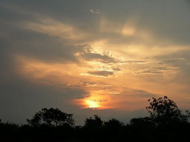 Under African Skies