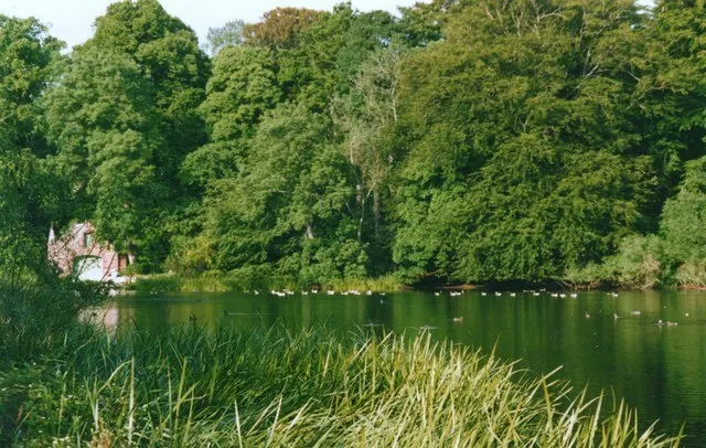 Wood Of Fyvie