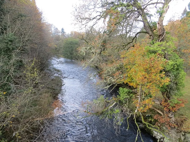 Yarrow Water