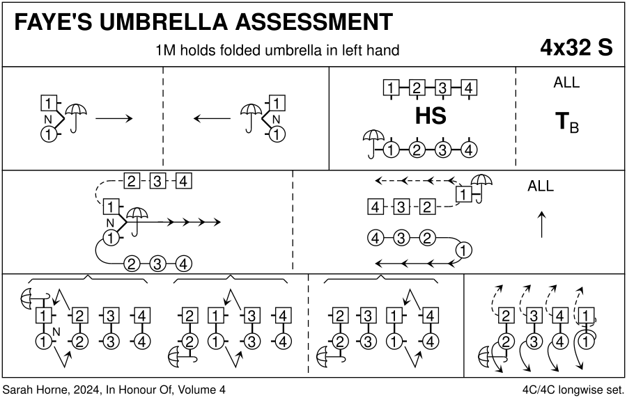Faye's Umbrella Assessment Keith Rose's Diagram