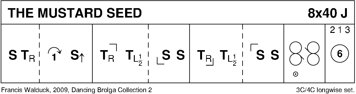 The Mustard Seed Keith Rose's Diagram
